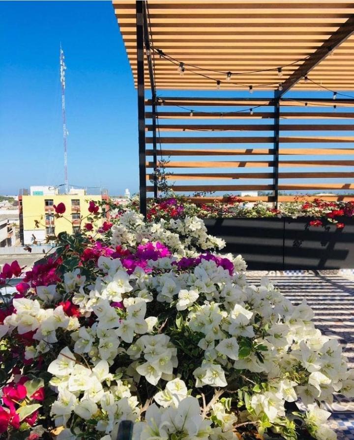 Ciénaga Cienaguas Hotel מראה חיצוני תמונה